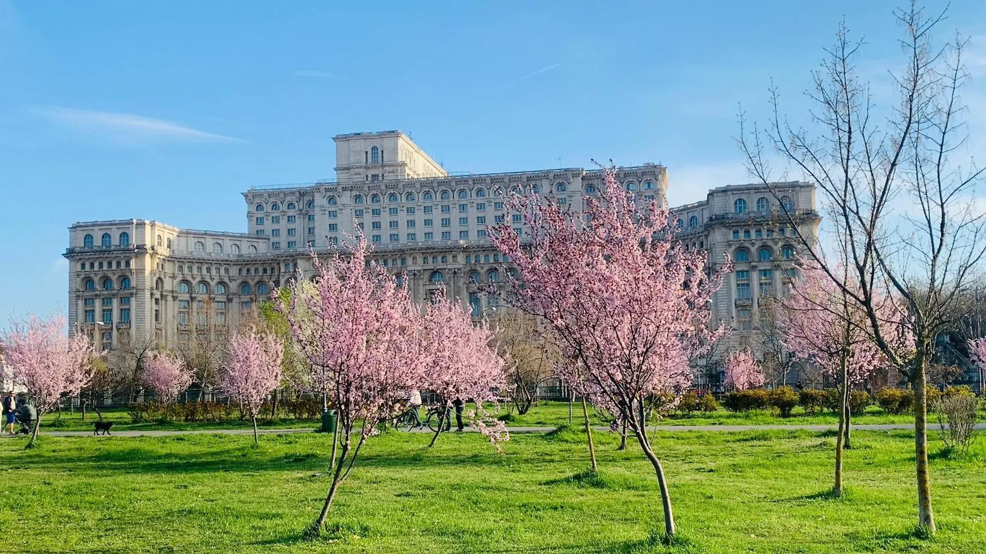 Chic Apartment Piata Constitutiei - Near The Palace Of Parliament 布加勒斯特 罗马尼亚